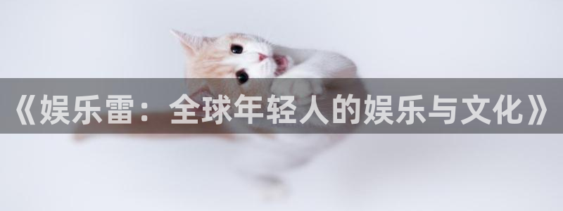 富联娱乐：《娱乐雷：全球年轻人的娱乐与文化》